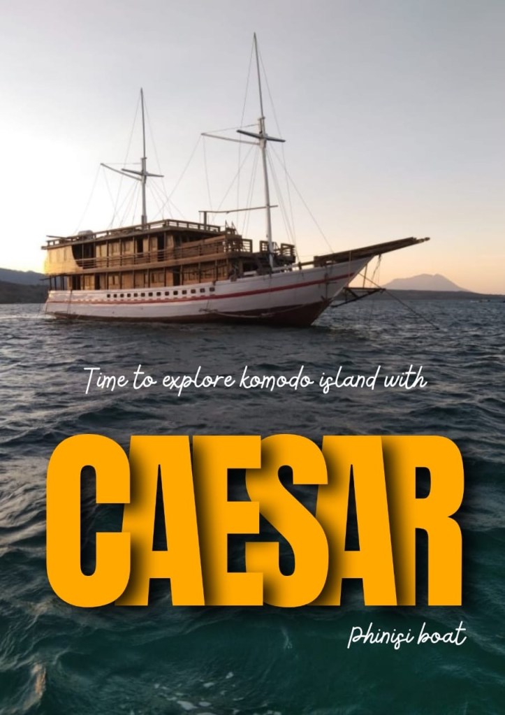 Komodo tour from Lombok 4 days 3 nights