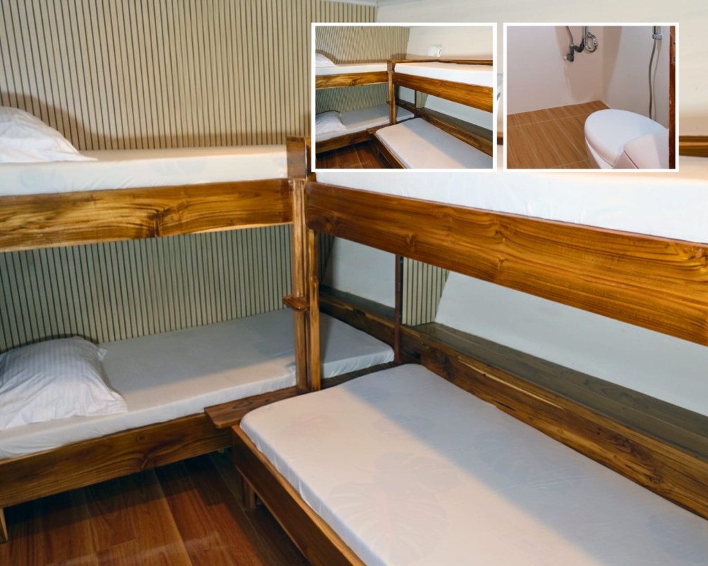 Komodo tour package from Bali,Flores - Lombok