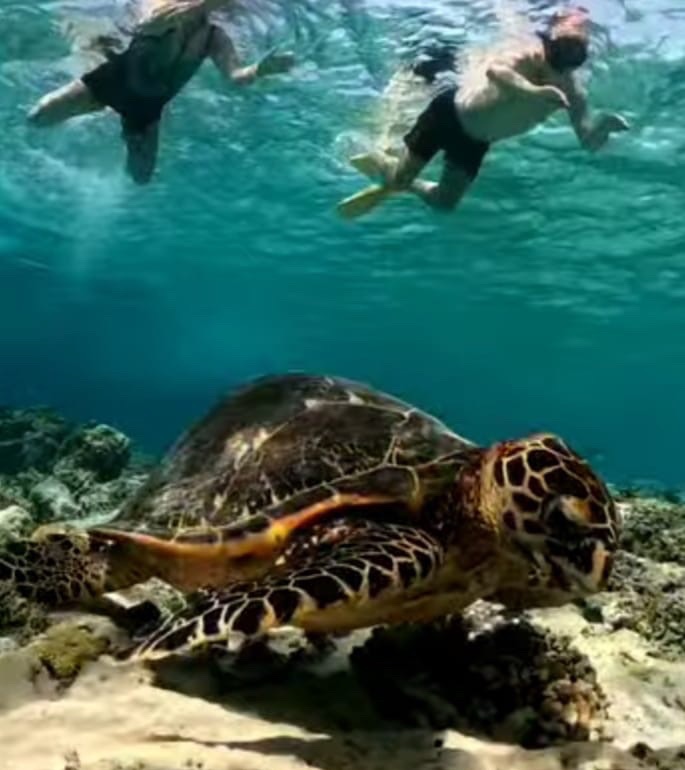 Lombok Snorkling trip,Lombok -gili island