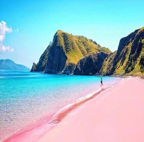 Share komodo tour 3 days 2 night Labuan bajo,Flores-pink beach Komodo national park