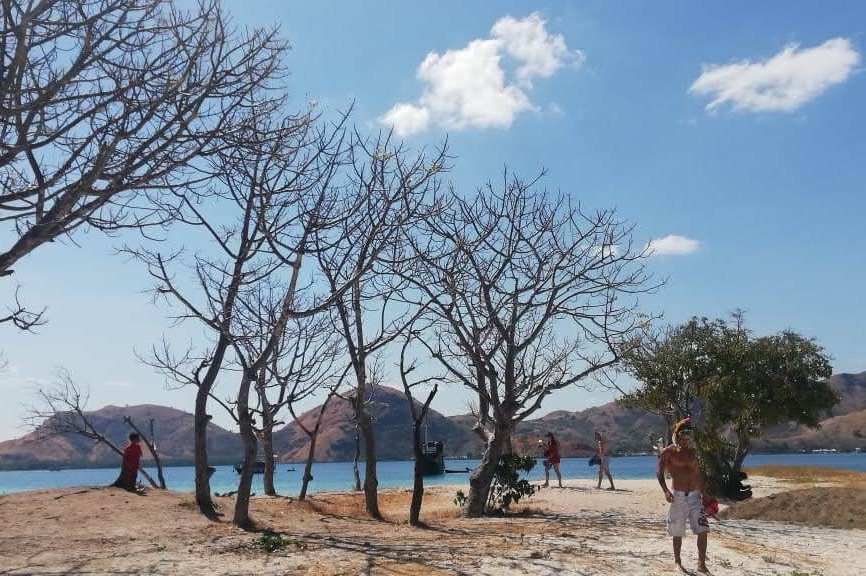 Komodo trip itinerary 4 days 3 night,Flores-kelor island