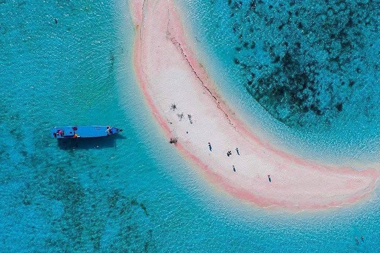 Share Komodo trip 2026,Flores-komodo national park 