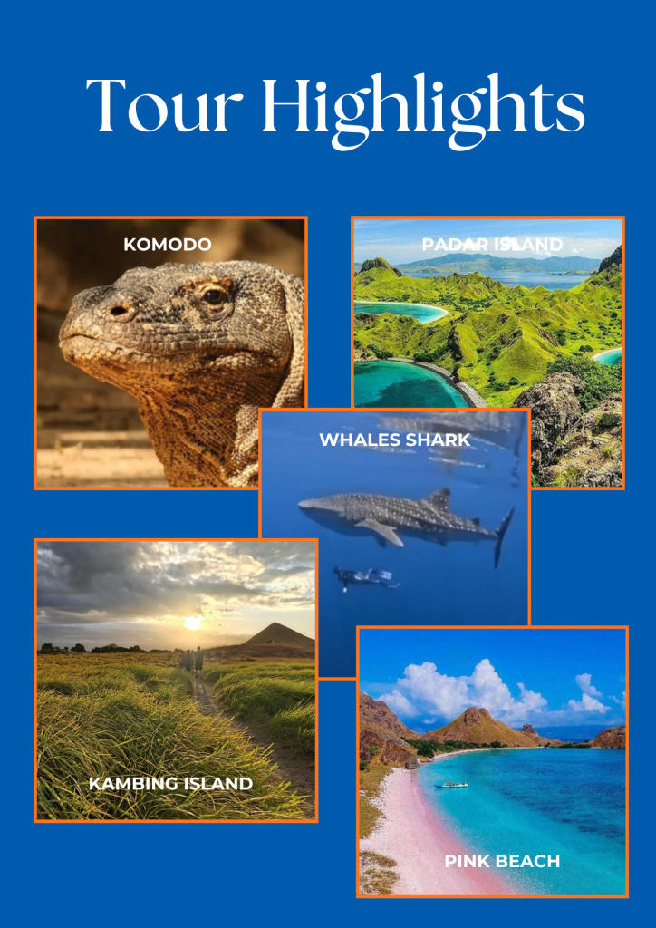 The cheapest way to Komodo island from Lombok,Labuan bajo,Flores-Indonesia 