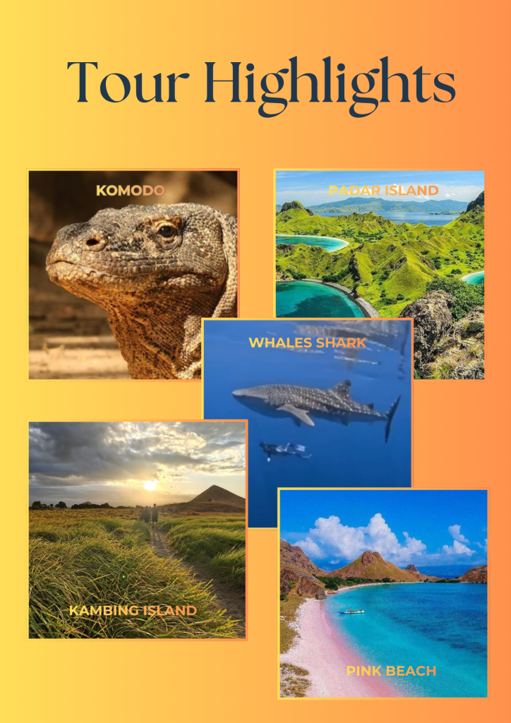 Share Komodo island trip from Lombok and Labuan bajo 4 days 3 nights,Labuan bajo,Flores-Indonesia 