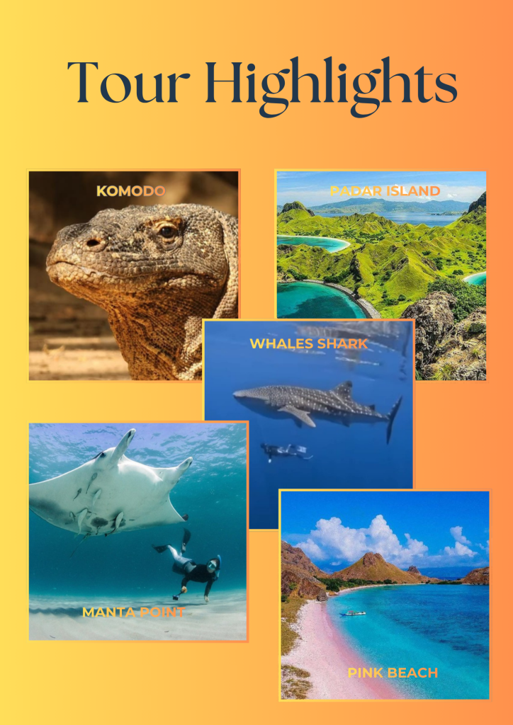 Best Komodo island tour package 4 days 3 nights on makkadina cruise,Labuan bajo,Flores-Indonesia 