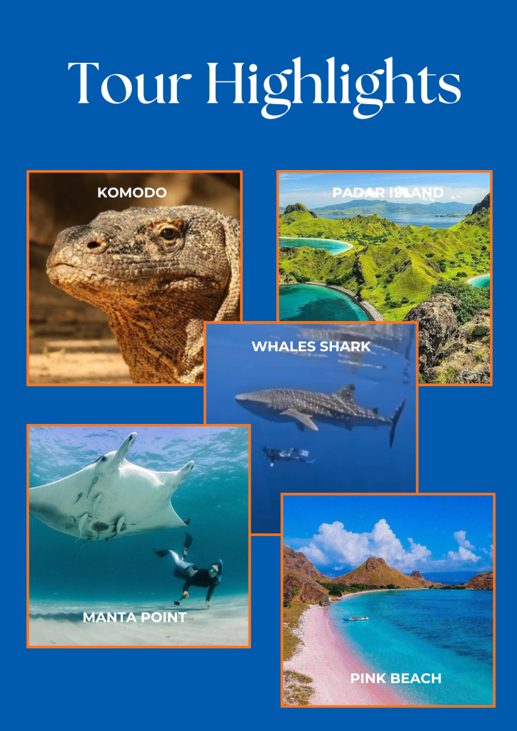 Best Komodo island tour package 4 days 3 nights on Makkadina cruise,Lombok,Flores-Indonesia 