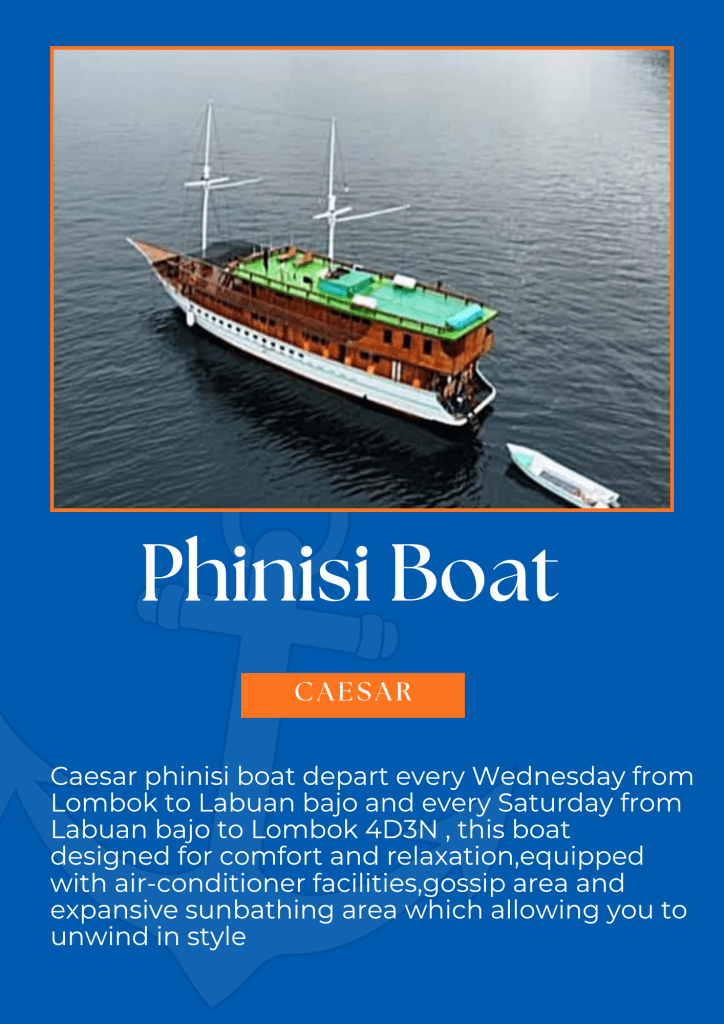 Four days phinisi cruise to Komodo island with Caesar,Lombok,Flores-Indonesia
