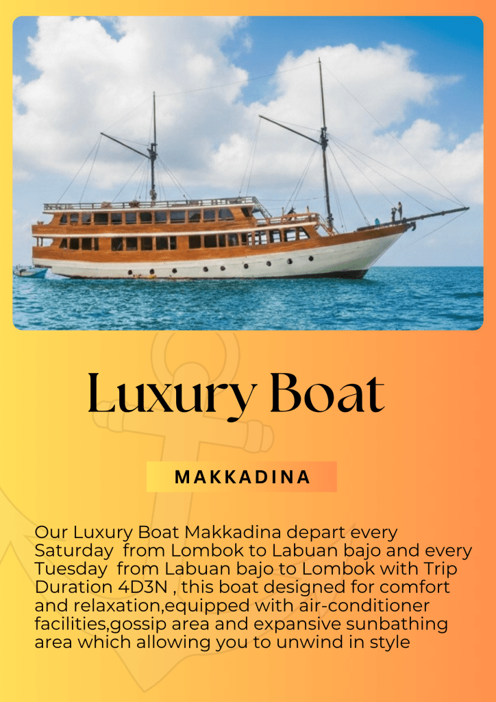 Best Komodo island tour package 4 days 3 nights on makkadina cruise,Labuan bajo,Flores-Indonesia 