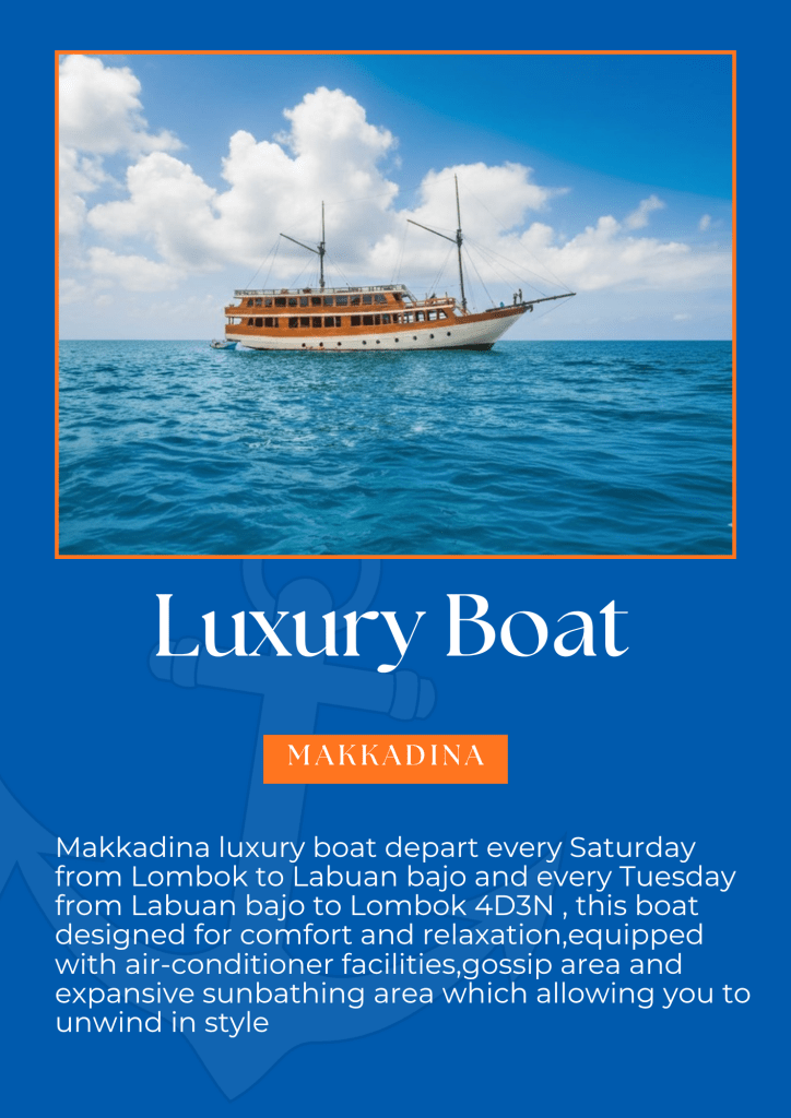 Best Komodo island tour package 4 days 3 nights on Makkadina,Lombok,Flores -Indonesia 