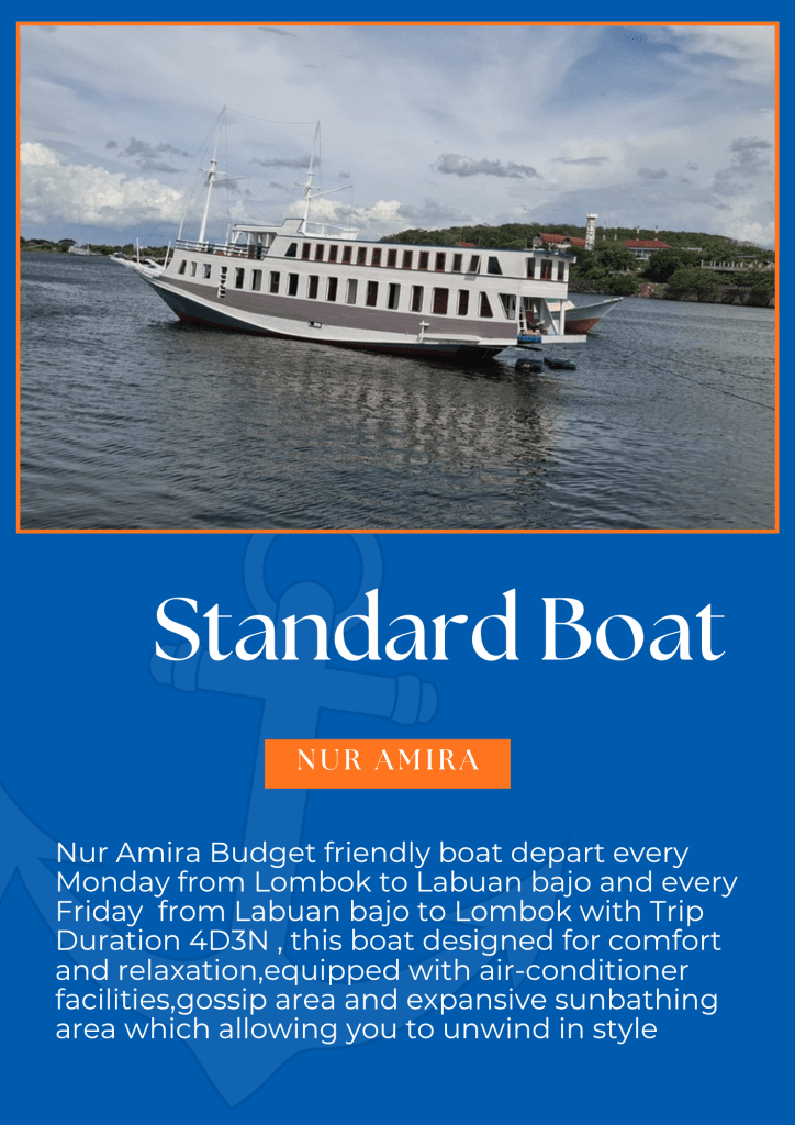 Budget friendly Komodo island tour 4D3N from Lombok and Labuan bajo,Flores-Indonesia 