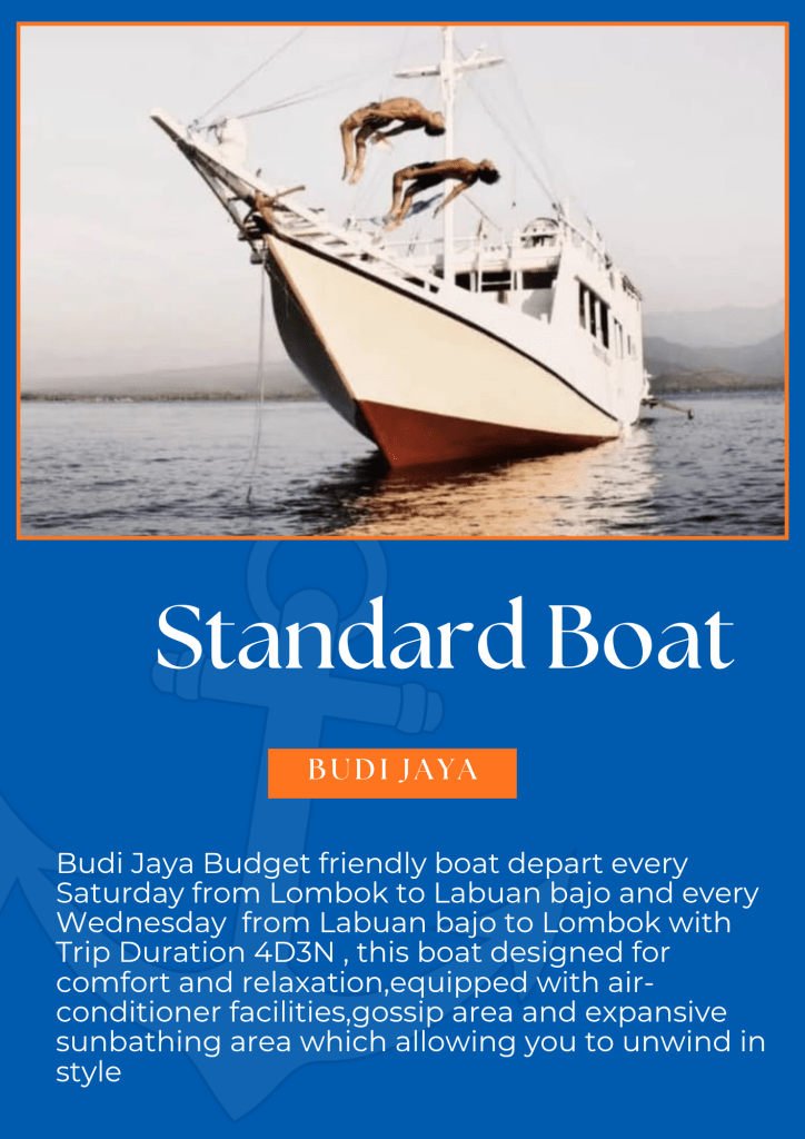 Share Komodo island trip from Lombok and Labuan bajo 4 days 3 nights,Labuan bajo,Flores-Indonesia 