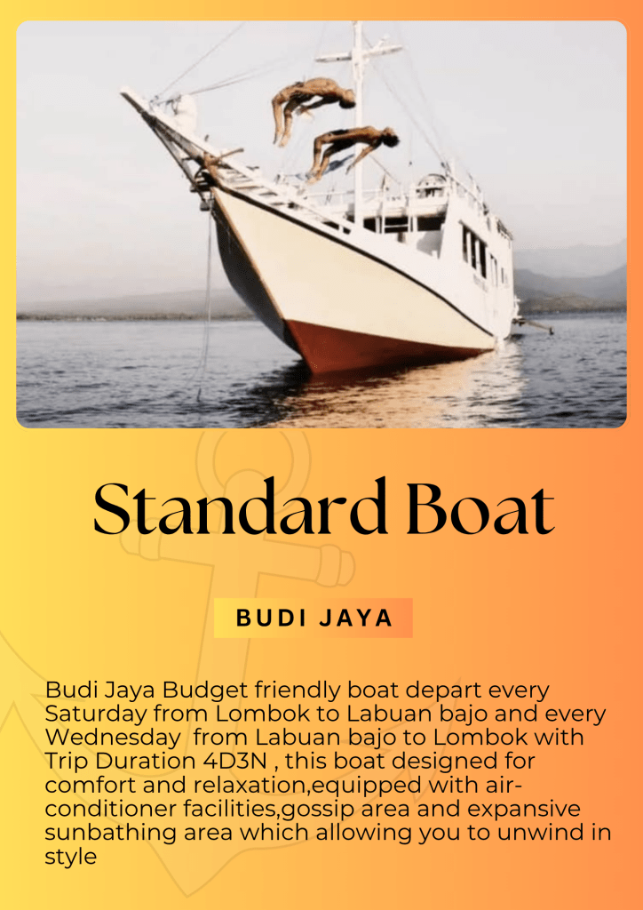 Share Komodo island trip from Lombok and Labuan bajo 4 days 3 nights,Labuan bajo,Flores-Indonesia 