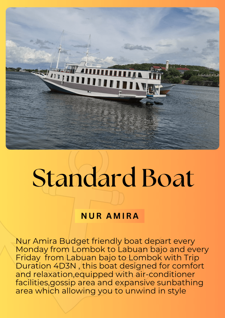 Budget friendly Komodo island tour 4D3N from Lombok and Labuan bajo,Flores-Indonesia 