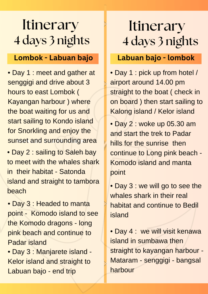 Best Komodo island tour package 4 days 3 nights on makkadina cruise,Labuan bajo,Flores-Indonesia 