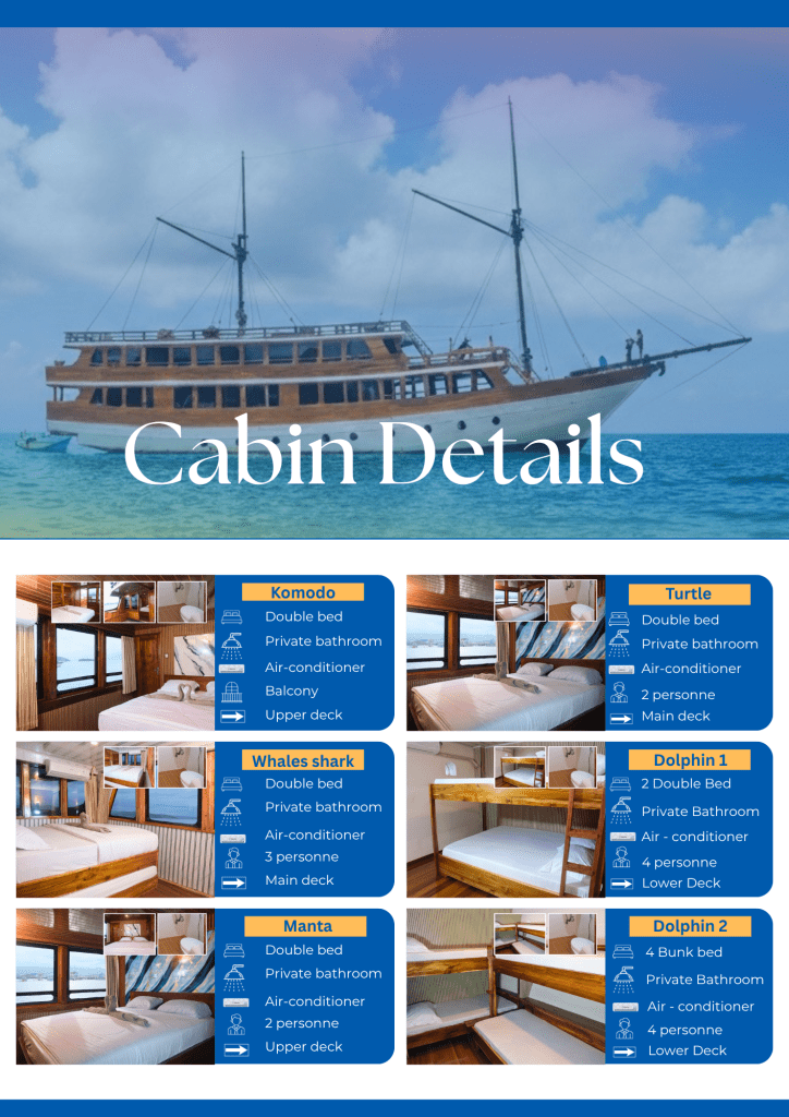 Best Komodo islands tour package 4 days 3 nights on Makkadina,Lombok,Flores-Indonesia 