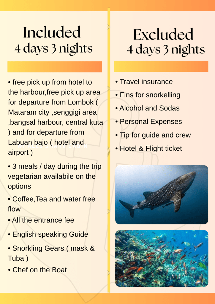 Best Komodo island tour package 4 days 3 nights on makkadina cruise,Labuan bajo,Flores -Indonesia 