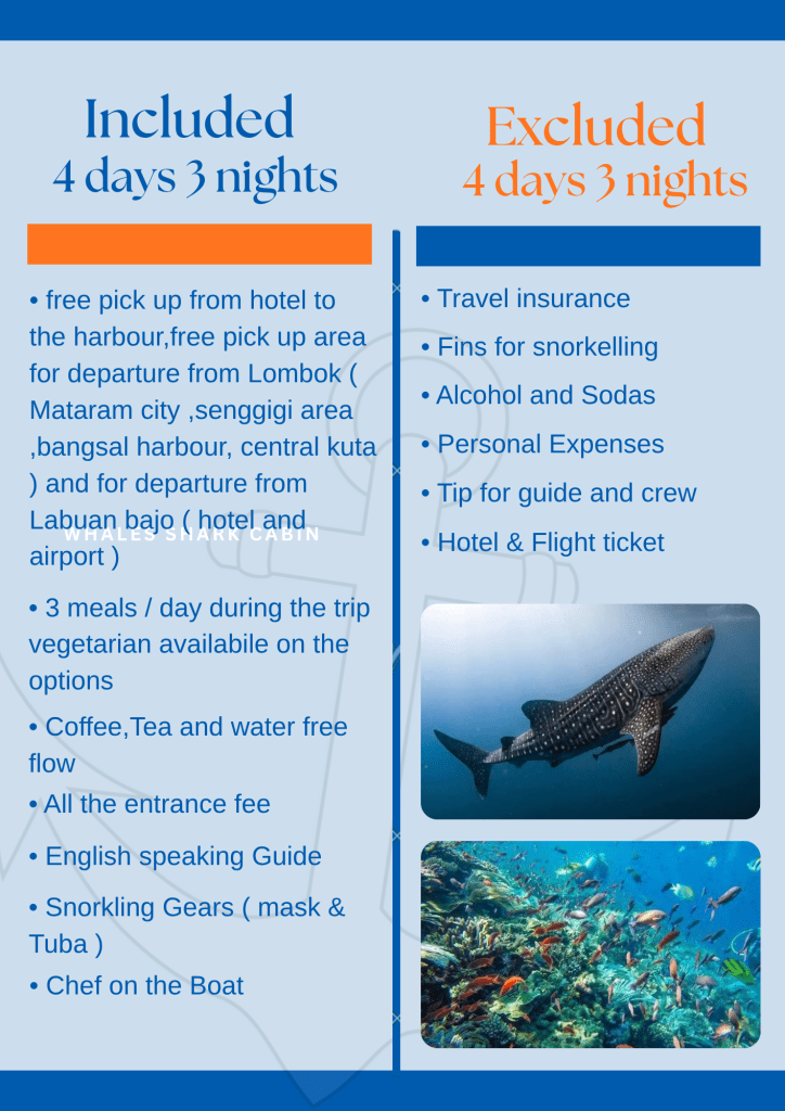 The cheapest way to Komodo island from Lombok,Labuan bajo,Flores-Indonesia 