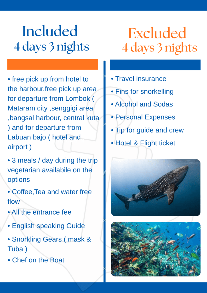 Best Komodo island tour package 4 days 3 nights on Makkadina cruise,Lombok,Flores -Indonesia 