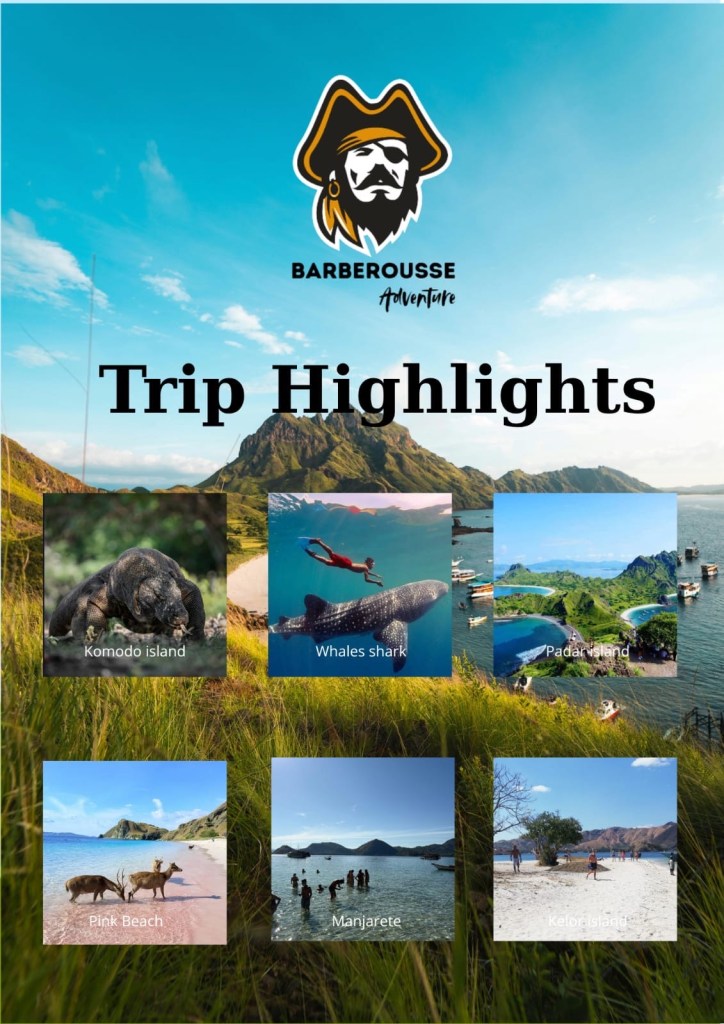 Best Komodo island cruise tour from Lombok and Labuan bajo 4 days 3 nights including whales shark,Lombok,Flores-Indonesia 