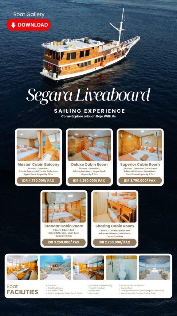 Open Komodo trip 3 days 2 nights from Labuan bajo , Flores-Indonesia