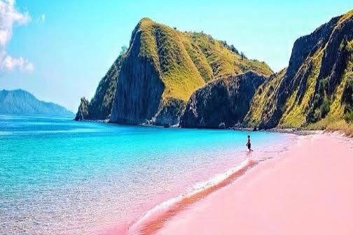 Place you must visit on Komodo national park,Labuan bajo-stunning beach with crystal clear water in long pink beach 